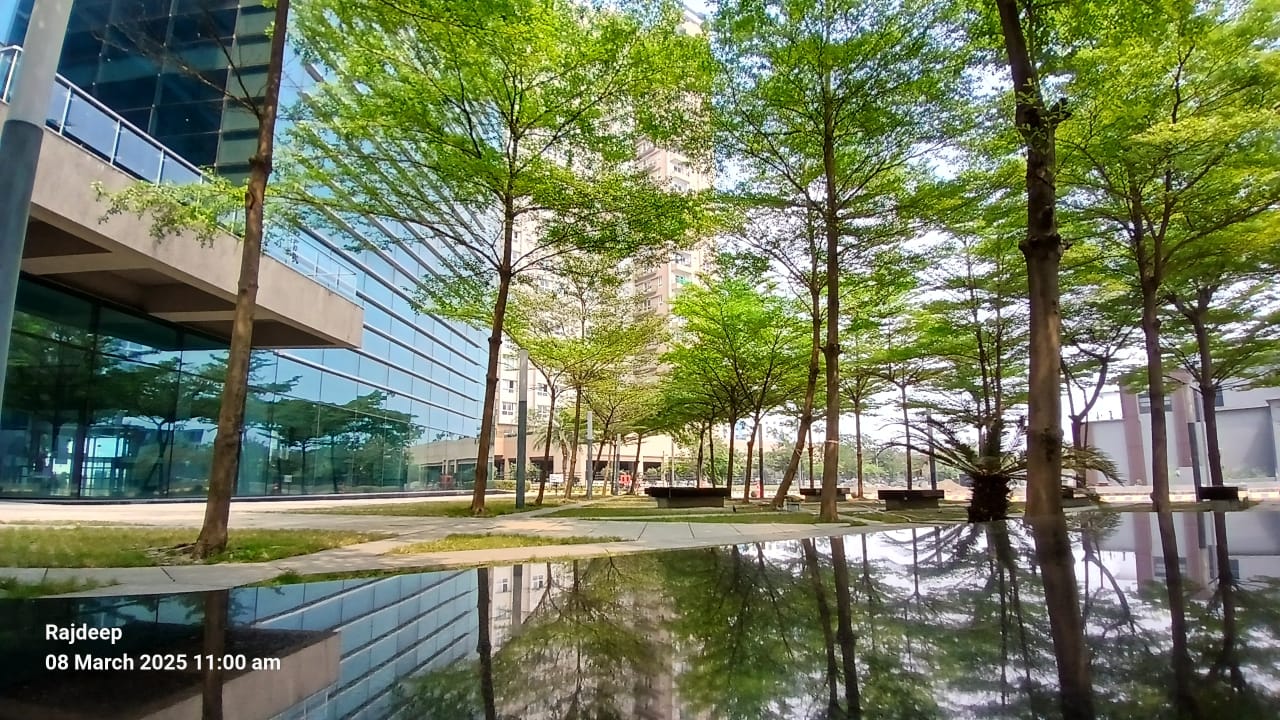 Gallery 7